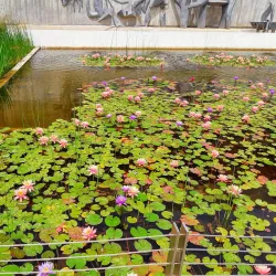 Kfar Saba Amphitheater - Kfar Saba