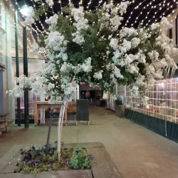 Kfar Saba Market (Shuk Kfar Saba) - Kfar Saba