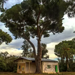 Kfar Saba Museum - Kfar Saba