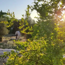Tel Kfar Saba (Archaeological Site) - Kfar Saba