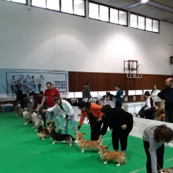 Community Sports Facilities - Kiryat Ata (Qiryat Atta)