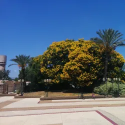 Community Sports Facilities - Kiryat Ata (Qiryat Atta)