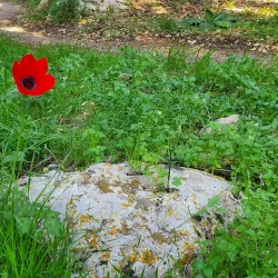 Historical Sites of Kiryat Ata - Kiryat Ata (Qiryat Atta)