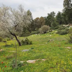 Kiryat Ata Cultural Center - Kiryat Ata (Qiryat Atta)