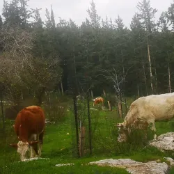 Kiryat Ata Cultural Center - Kiryat Ata (Qiryat Atta)