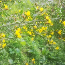 Kiryat Ata Cultural Center - Kiryat Ata (Qiryat Atta)