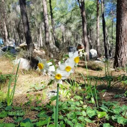 Kiryat Ata Park - Kiryat Ata (Qiryat Atta)