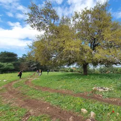 Kiryat Ata Park - Kiryat Ata (Qiryat Atta)