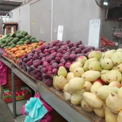 Local Market (Shuk Kiryat Ata) - Kiryat Ata (Qiryat Atta)