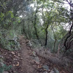Nearby Carmel Mountain Range - Kiryat Ata (Qiryat Atta)
