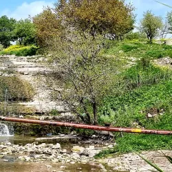 Ein HaShofet Forest (nearby) - Kiryat Bialik