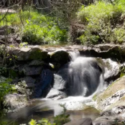 Ein HaShofet Forest (nearby) - Kiryat Bialik