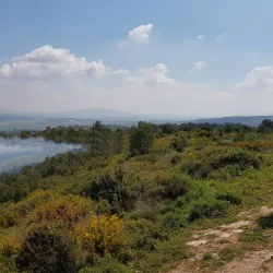 Ein HaShofet Forest (nearby) - Kiryat Bialik