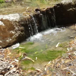 Ein HaShofet Forest (nearby) - Kiryat Bialik
