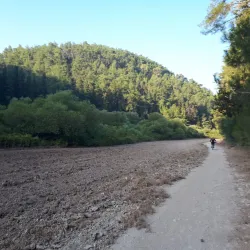 Ein HaShofet Forest (nearby) - Kiryat Bialik