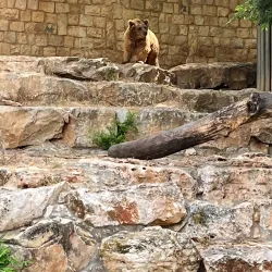 Haifa Educational Zoo (nearby) - Kiryat Bialik