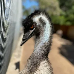 Haifa Educational Zoo (nearby) - Kiryat Bialik