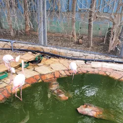 Haifa Educational Zoo (nearby) - Kiryat Bialik