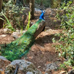 Haifa Educational Zoo (nearby) - Kiryat Bialik