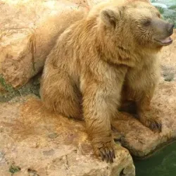 Haifa Educational Zoo (nearby) - Kiryat Bialik