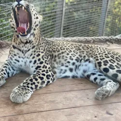 Haifa Educational Zoo (nearby) - Kiryat Bialik