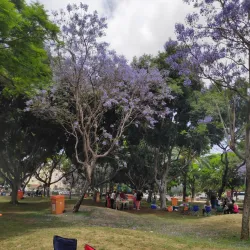 Kiryat Bialik Park - Kiryat Bialik