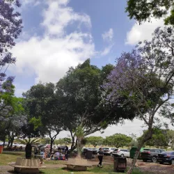 Kiryat Bialik Park - Kiryat Bialik