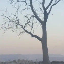 Local Markets and Shops - Kiryat Bialik