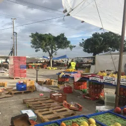 Local Markets and Shops - Kiryat Bialik