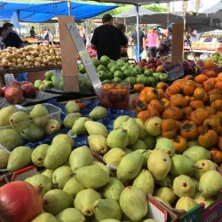Local Markets and Shops - Kiryat Bialik