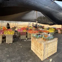 Local Markets and Shops - Kiryat Bialik