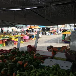 Local Markets and Shops - Kiryat Bialik