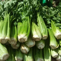 Local Markets and Shops - Kiryat Bialik