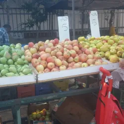 Local Markets and Shops - Kiryat Bialik