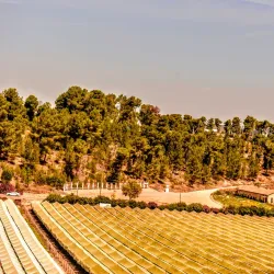 Lakhish Regional Museum - Kiryat Gat