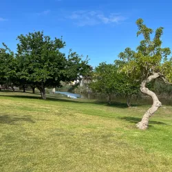 Nahal Lakhish Nature Reserve - Kiryat Gat