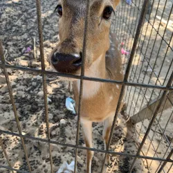Nahal Lakhish Nature Reserve - Kiryat Gat