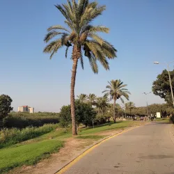 Nahal Lakhish Nature Reserve - Kiryat Gat