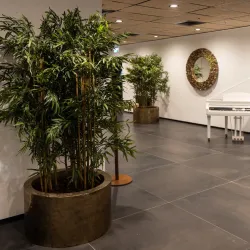 Ono Academic College - Kiryat Ono