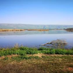 Agamon Hula - Kiryat Shmona
