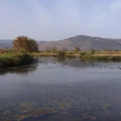 Agamon Hula - Kiryat Shmona