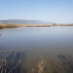 Agamon Hula - Kiryat Shmona