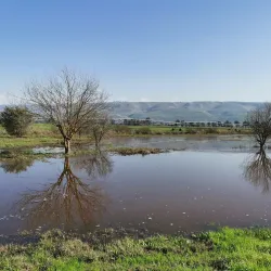 Agamon Hula - Kiryat Shmona