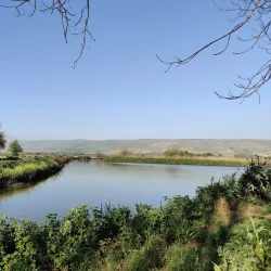 Agamon Hula - Kiryat Shmona