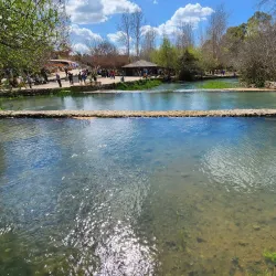 Banias Nature Reserve - Kiryat Shmona