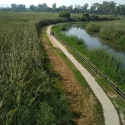 Hula Nature Reserve - Kiryat Shmona