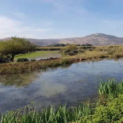 Hula Nature Reserve - Kiryat Shmona