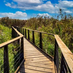 Hula Nature Reserve - Kiryat Shmona