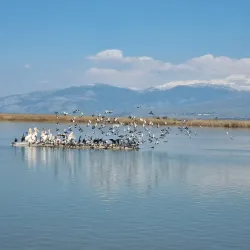 Hula Nature Reserve - Kiryat Shmona