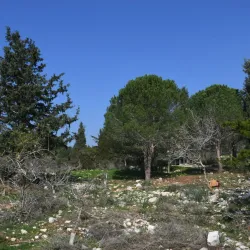 Keshet Cave (Rainbow Cave) - Kiryat Shmona